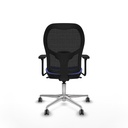 8447454384225_S5716724_P40