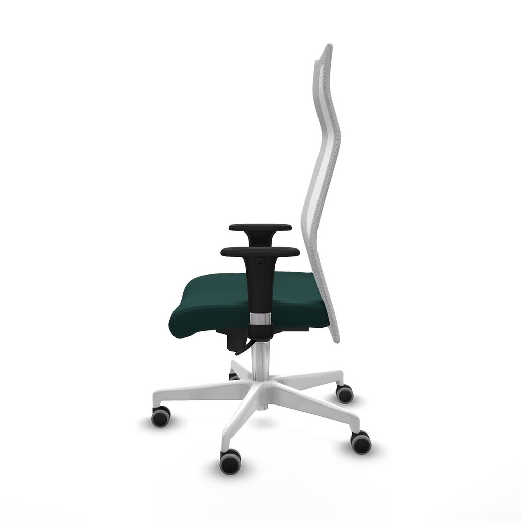 8447454227508_S5742672_P20