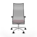 8447454232311_S5742985_P40