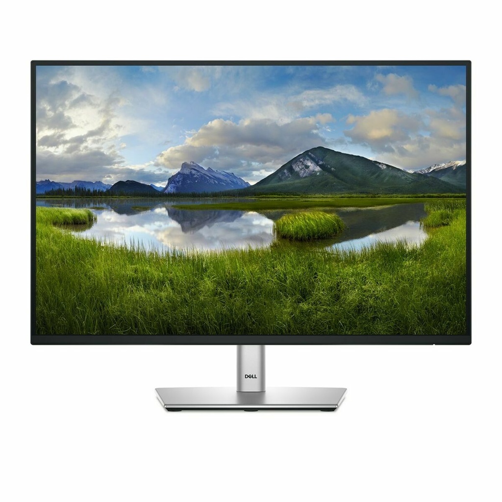 Monitor Dell DELL-P2425E 24" WUXGA