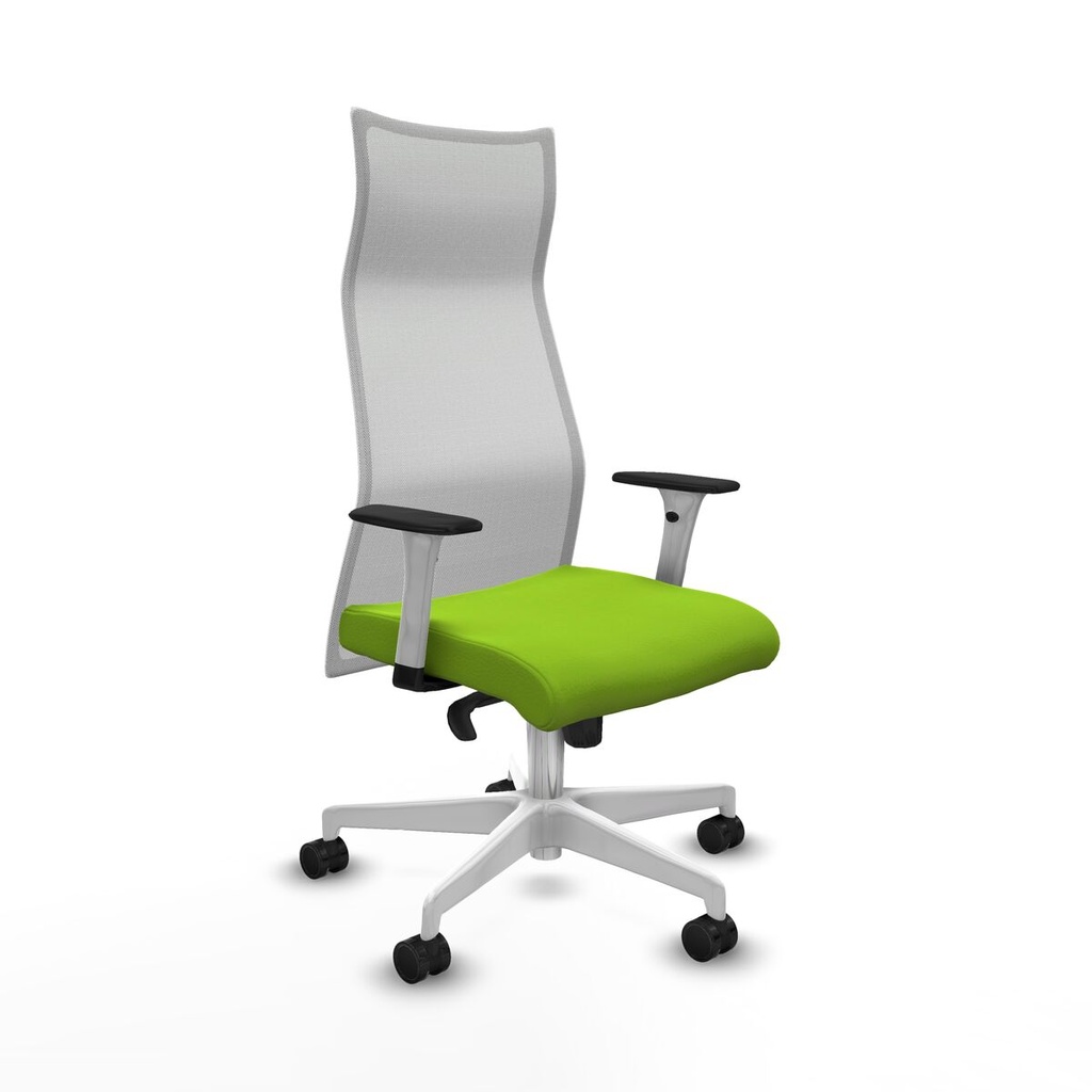 Office Chair Piqueras y Crespo B1B026N Pistachio