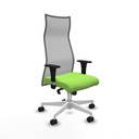 Office Chair Albacete Piqueras y Crespo B1C026N Pistachio
