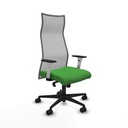 Silla de Oficina Albacete Piqueras y Crespo B1B036N Verde