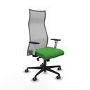 Silla de Oficina Albacete Piqueras y Crespo B1B036G Verde