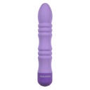 Bullet Vibrator Evolved Purple