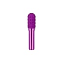 Bullet Vibrator Le Wand Purple