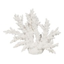 Figura Decorativa Blanco Resina Coral 34 X 13 X 27 CM