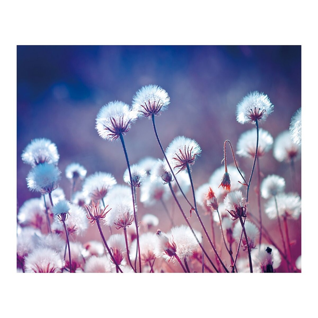 Canvas Wood Canvas 100 x 3 x 80 cm