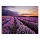 Canvas Wood Canvas 80 x 3 x 60 cm