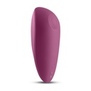 Erotic massager NS Novelties Secrets Red