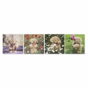 Cuadro DKD Home Decor S3018130 Oso Infantil (28 x 1,5 x 28 cm) (4 Unidades)