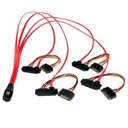 Cable SATA Startech SAS808782P50        