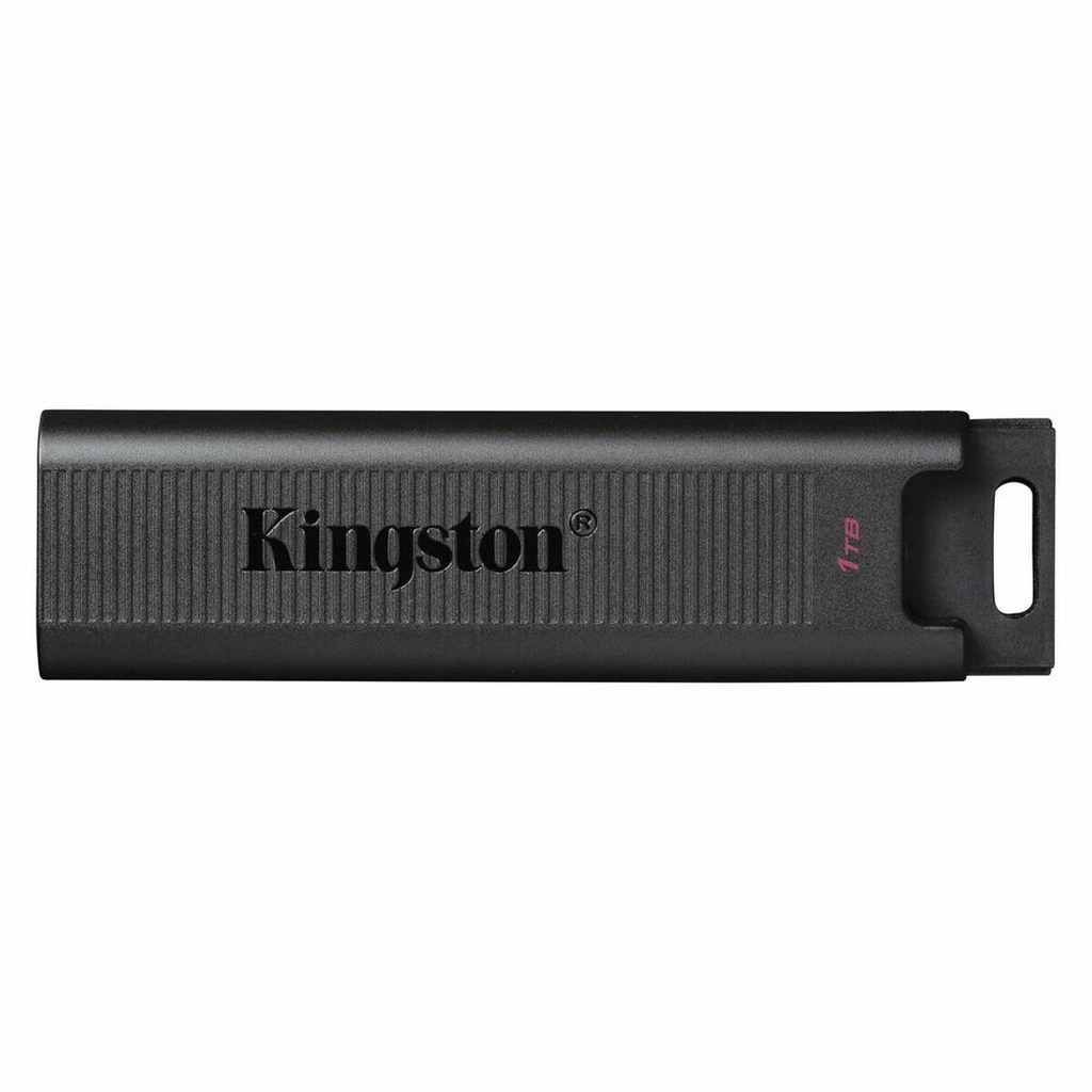 Memoria USB Kingston DTMAX/1TB Negro 1 TB