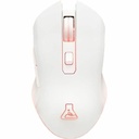 Trackball The G-Lab