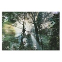 Painting Home ESPRIT Tempered Glass 150 x 0,4 x 100 cm