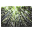 Cuadro Home ESPRIT Verde Impreso 150 x 0,4 x 100 cm