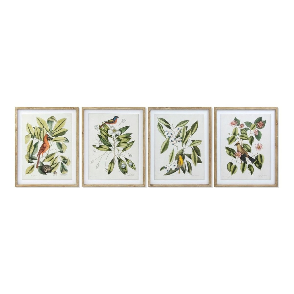 Cuadro DKD Home Decor Bird Cristal Abeto 55 x 2,5 x 70 cm (4 Piezas)