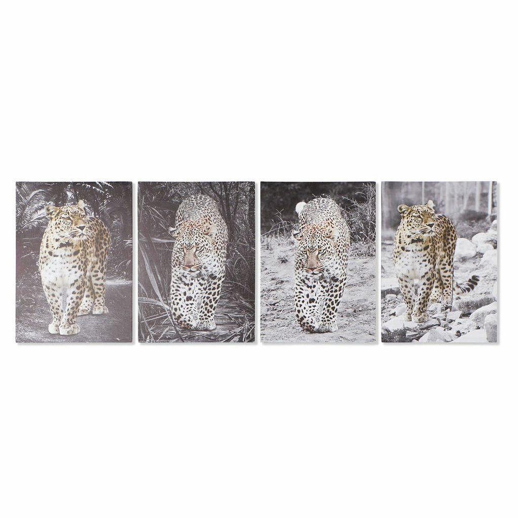Cuadro DKD Home Decor Leopardo Colonial (50 x 1,8 x 70 cm) (4 Unidades)
