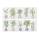 Cuadro DKD Home Decor Planta (90 x 2,3 x 30 cm) (90 x 1,5 x 30 cm) (2 Unidades)