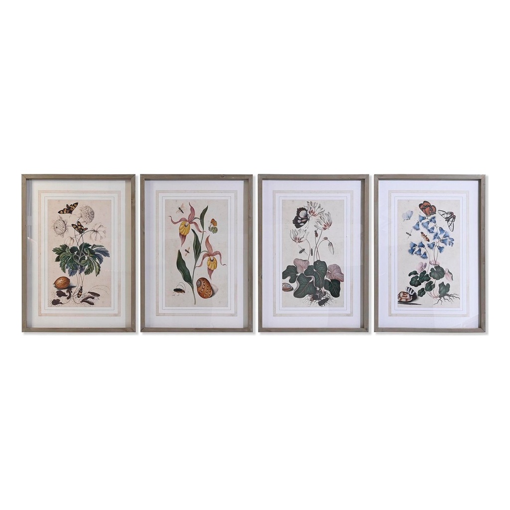 Cuadro DKD Home Decor Abeto Cristal 50 x 65 x 2,5 cm 50 x 2,5 x 65 cm 50 x 2,5 x 70 cm Flores (4 Piezas)