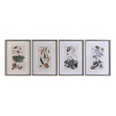 Cuadro DKD Home Decor Abeto Cristal 50 x 65 x 2,5 cm 50 x 2,5 x 65 cm 50 x 2,5 x 70 cm Flores (4 Piezas)