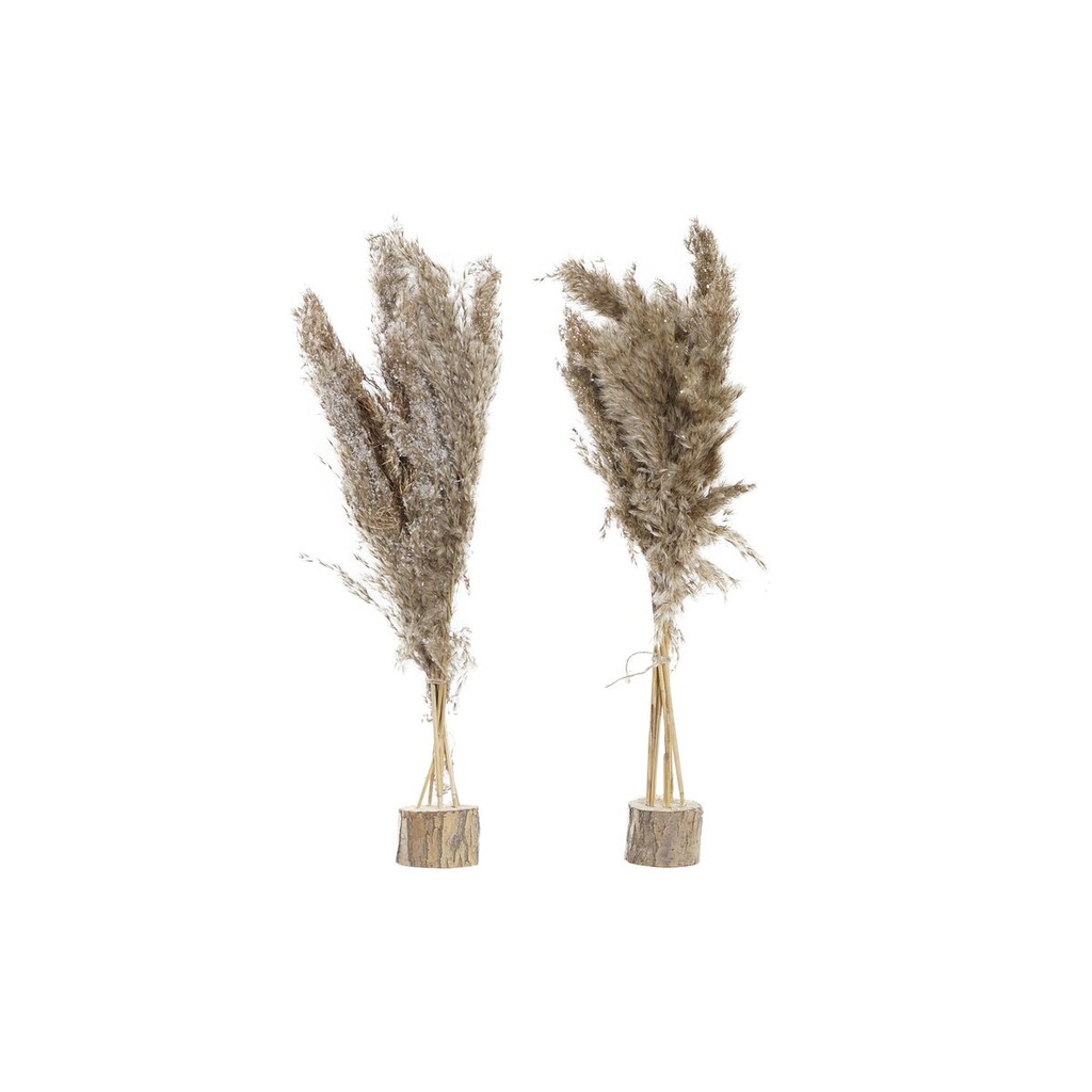 Decorative Plant DKD Home Decor PVC Feathers Natural 35 x 25 x 55 cm (2 Units)