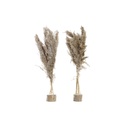 Decorative Plant DKD Home Decor PVC Feathers Natural 35 x 25 x 55 cm (2 Units)