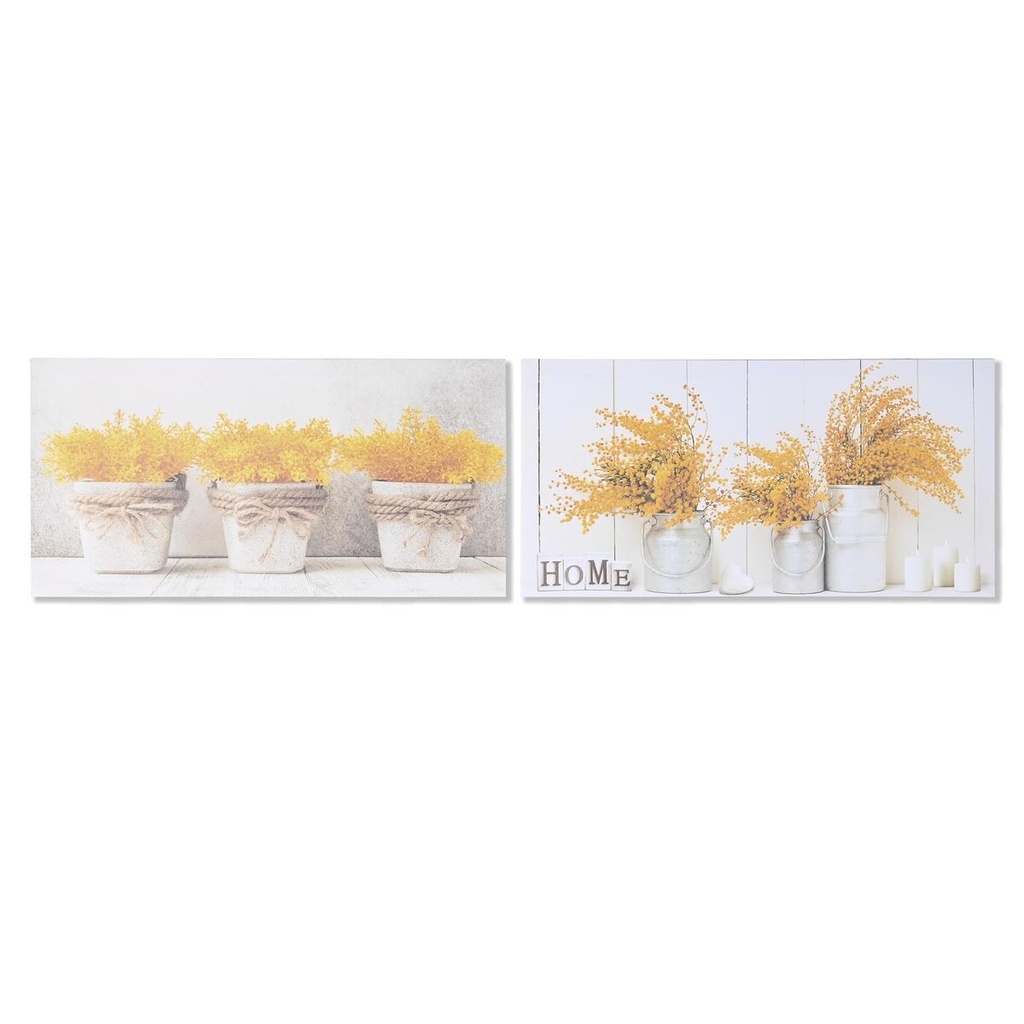 Cuadro DKD Home Decor Maceta (60 x 1,8 x 30 cm) (2 Unidades)