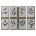 Cuadro DKD Home Decor Moderno Plantas botánicas 50 x 2,5 x 70 cm (8 Unidades)