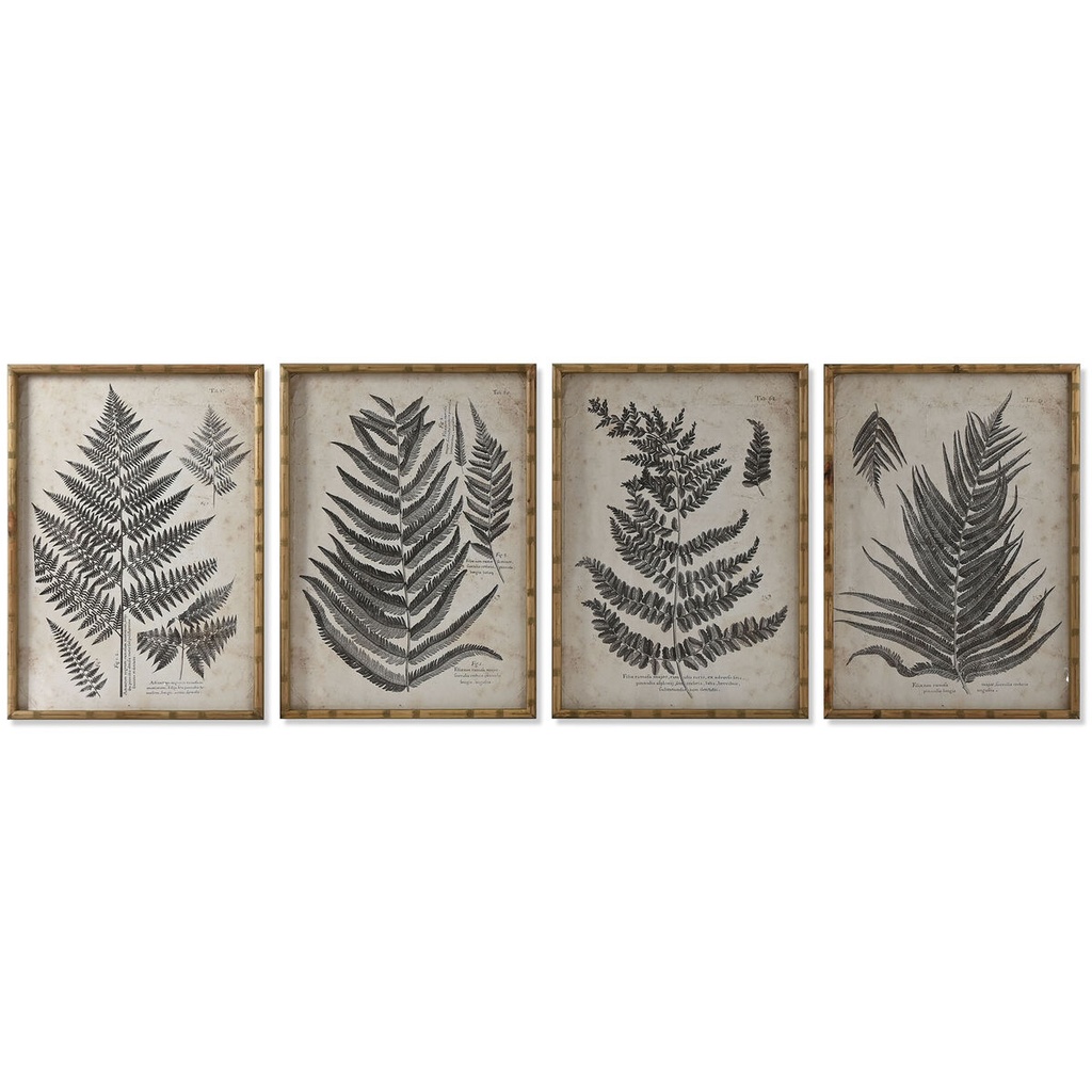 Cuadro Home ESPRIT Cristal Abeto 50 x 3 x 70 cm 50 x 2,5 x 70 cm