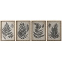 Cuadro Home ESPRIT Cristal Abeto 50 x 3 x 70 cm 50 x 2,5 x 70 cm