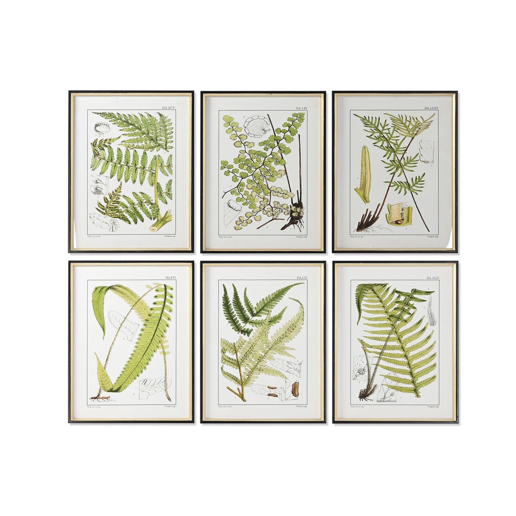 Cuadro Home ESPRIT Cristal Abeto 50 x 2,5 x 65 cm 50 x 3 x 65 cm