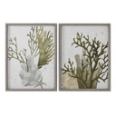 Cuadro Home ESPRIT Verde Coral Mediterráneo 45 x 2 x 60 cm (2 Unidades)