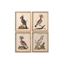 Cuadro Home ESPRIT Beige Tropical 40 x 2 x 50 cm (4 Unidades)
