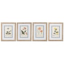 Cuadro Home ESPRIT Shabby Chic Plantas botánicas 40 x 2,5 x 50 cm (4 Unidades)