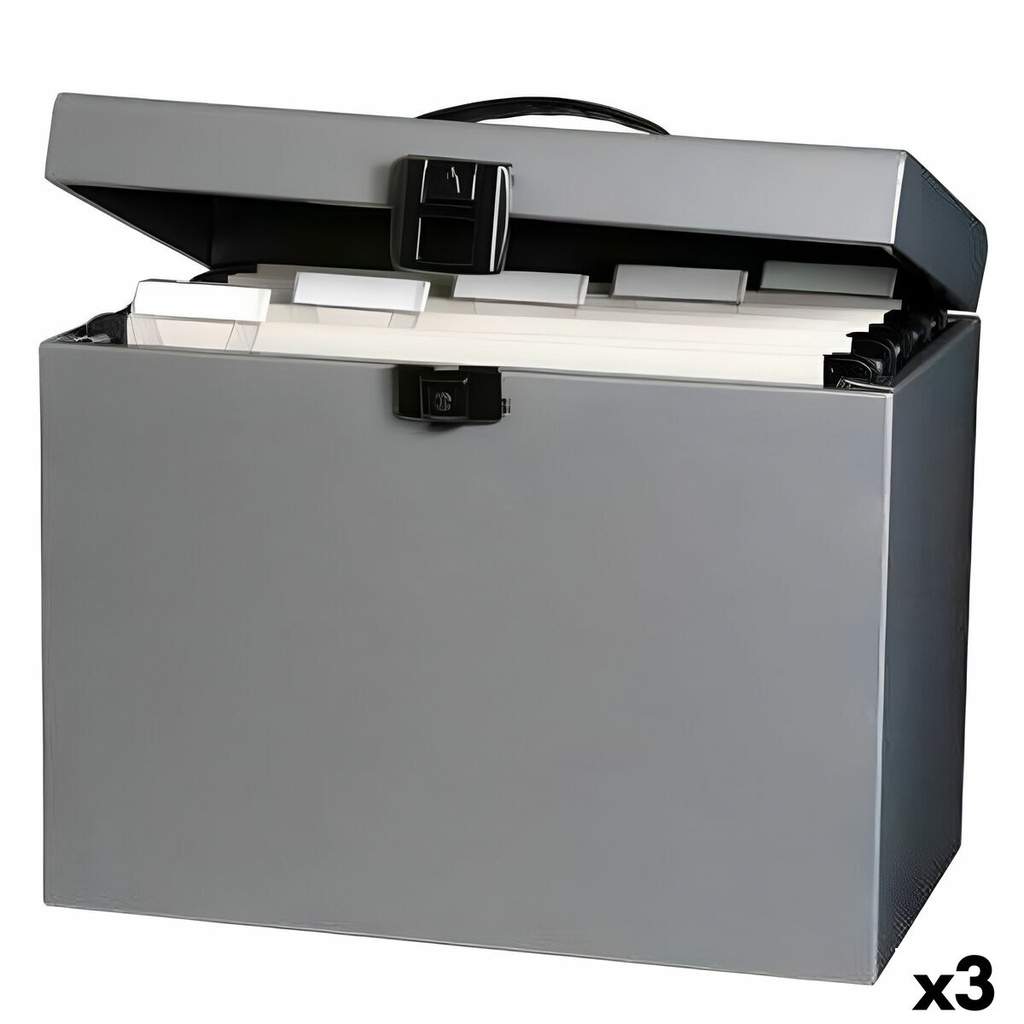 File Box Oxford Class n Go Grey A4 29,5 x 37 x 22 cm (3 Units)