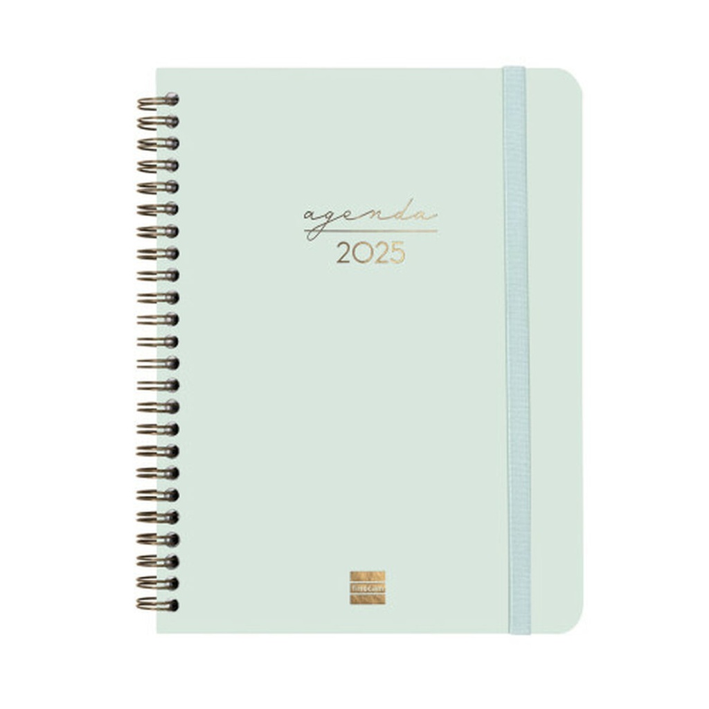 Diary Finocam ALMA Mint A5 15,5 x 21,2 cm 2025