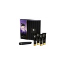Pleasure Kit Shunga SECRET GEISHA COQUINE
