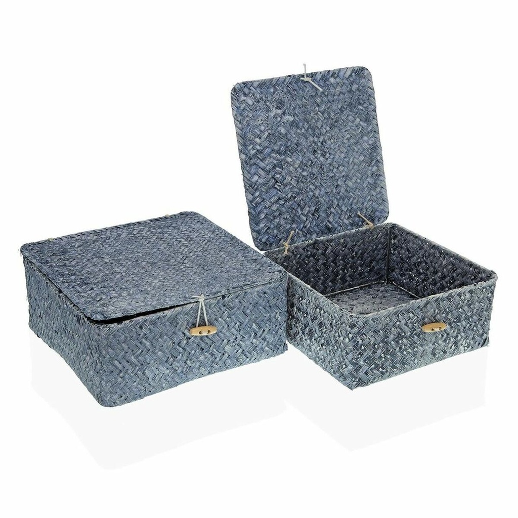 Cesta Multiusos Versa Azul Algas marinas 23 x 10 x 23 cm 20 x 20 x 9 cm Con Tapa (2 Unidades)