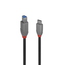 USB-C to USB B Cable LINDY 36665 50 cm Black