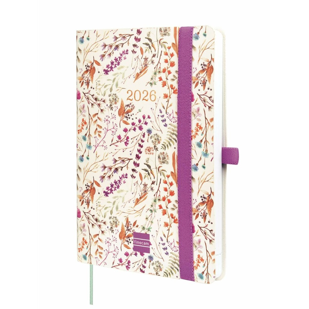 Agenda Finocam