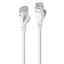 UTP Category 6 Rigid Network Cable LINDY 47592 Grey 1 m 1 Unit