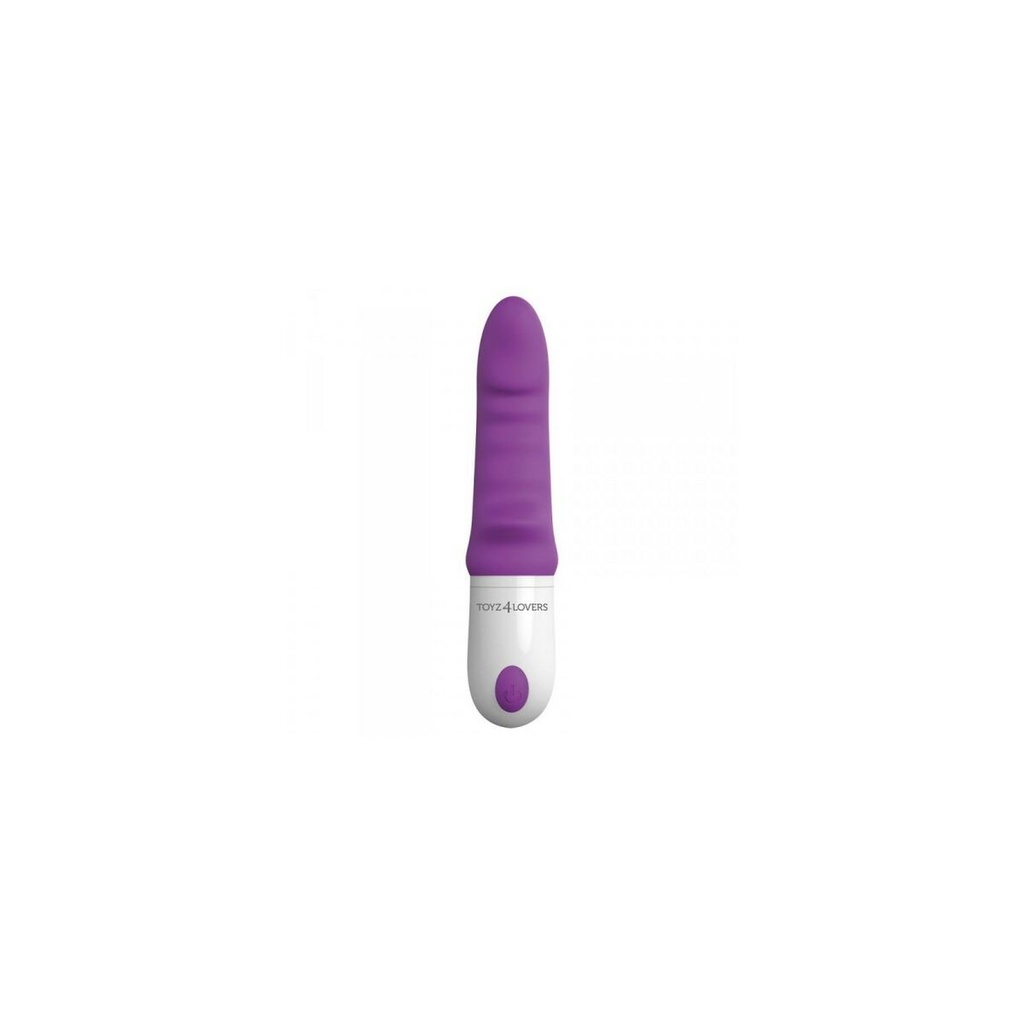 G-Spot Vibrator Toyz4lovers Purple