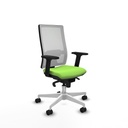 Office Chair Piqueras y Crespo 2D026N0 Pistachio