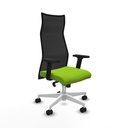 Office Chair Piqueras y Crespo B2D026N Pistachio