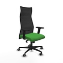 Sillón de Oficina Piqueras y Crespo B2D036G Verde