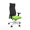 Sillón de Oficina Piqueras y Crespo B2D026N Pistacho