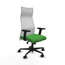 Office Chair Piqueras y Crespo B2D036N Green