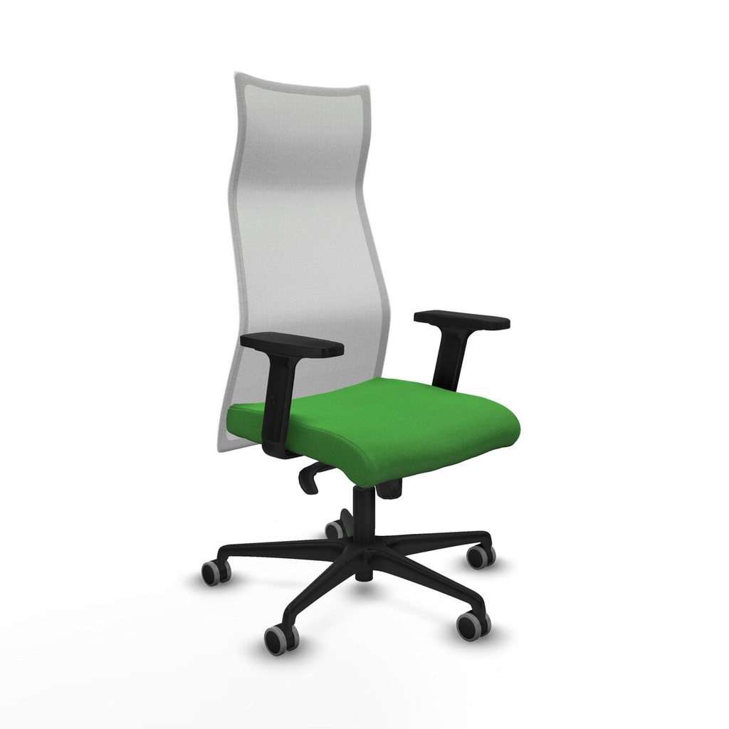 Office Chair Piqueras y Crespo B2D036G Green