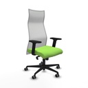 Office Chair Piqueras y Crespo B2D036G Pistachio